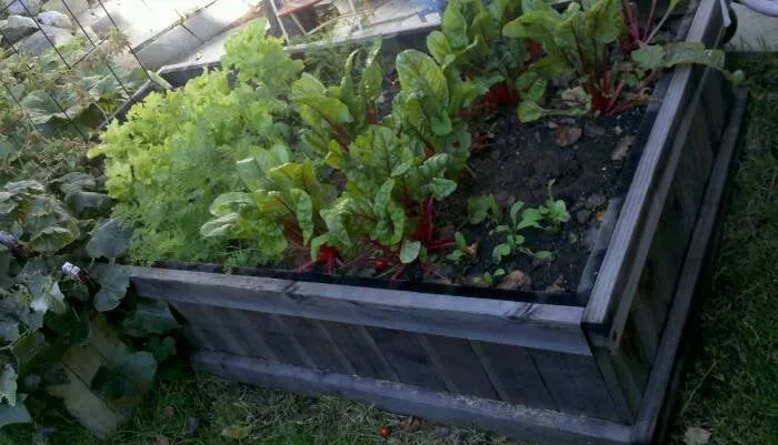 Reliable residential landscaping for year-round maintenance across San Marcos, CA - Greatsoil