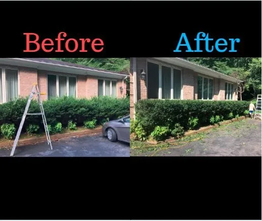 Affordable yard maintenance experts serving McLean, VA - GreatYards