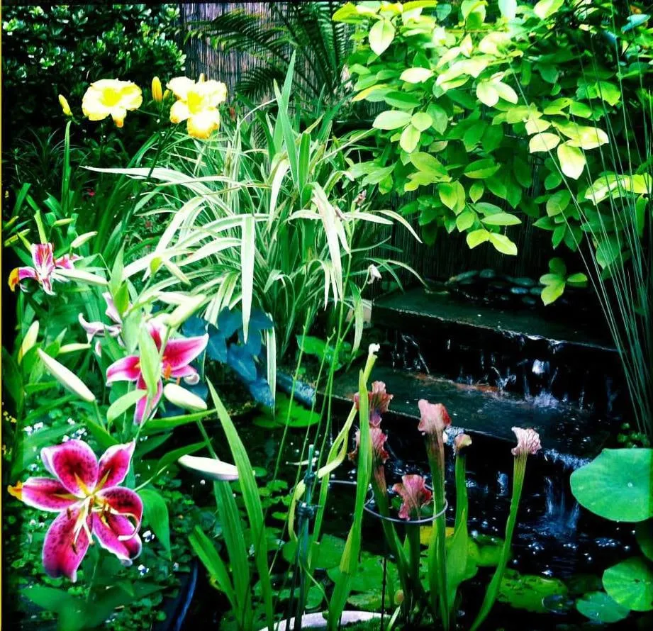 Top-rated lawn care service in New Orleans, LA by Greaux Right Gardens & Landscaping LLC