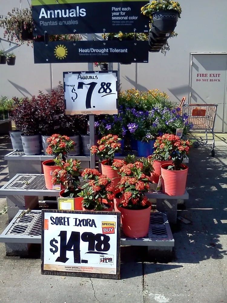 Top-rated landscaping services experts serving New Orleans, LA - Greaux Right Gardens & Landscaping LLC