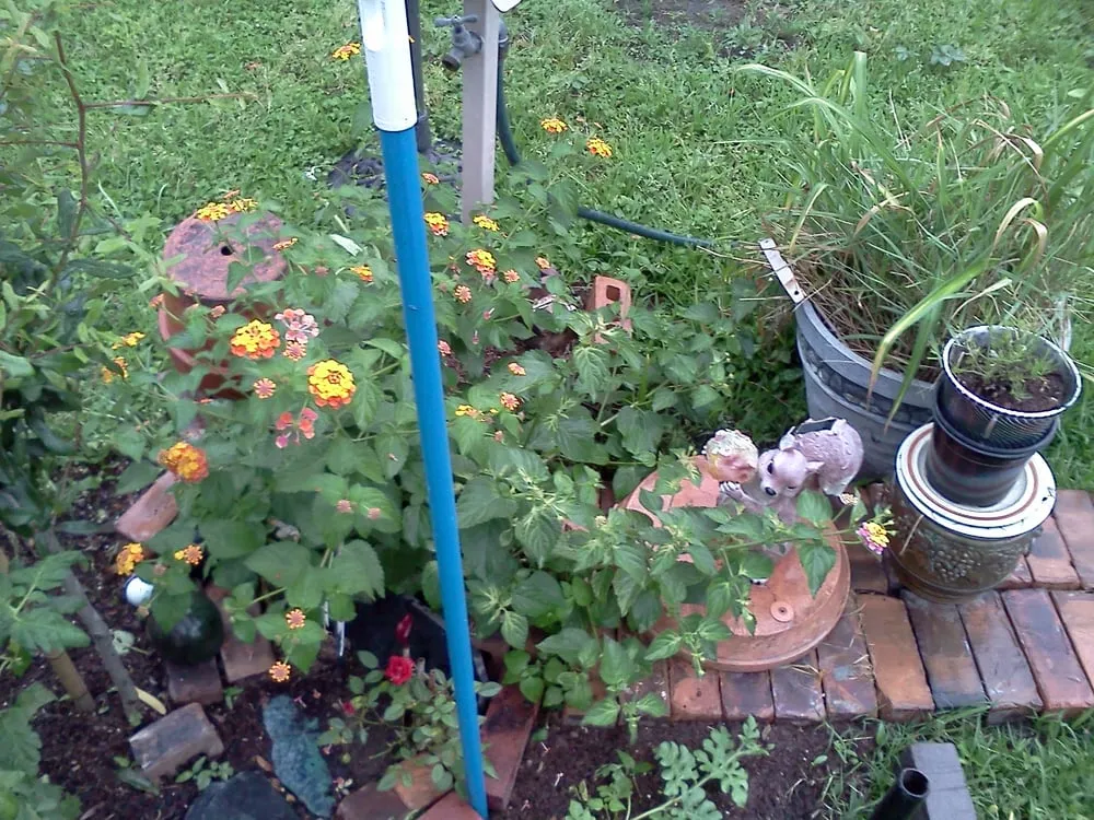 Top-rated lawn care service in New Orleans, LA by Greaux Right Gardens & Landscaping LLC