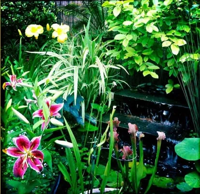 Greaux Right Gardens & Landscaping LLC Logo