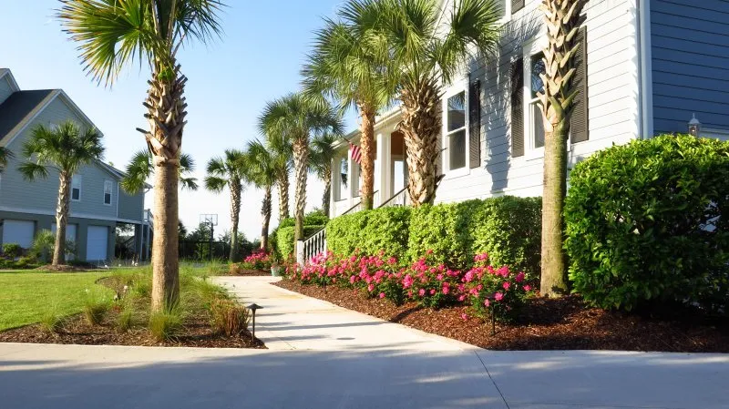 Reliable outdoor landscaping in Summerville, SC - Greca Landscaping and Design