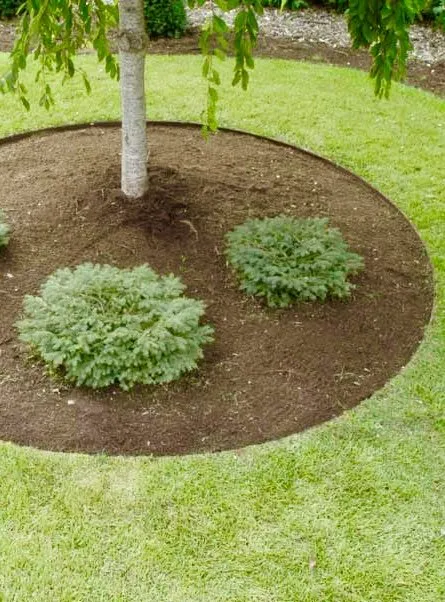 Reliable yard maintenance for outdoor upgrades in Summerville, SC by Greca Landscaping and Design