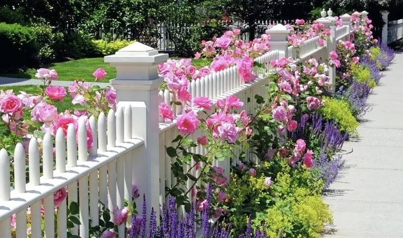 Expert lawn care service in Summerville, SC - Greca Landscaping and Design