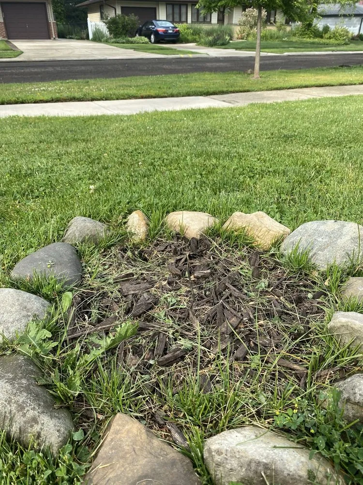 Trusted landscaping services in Elk Grove Village, IL by Greco’s Landscaping And Brick Paving