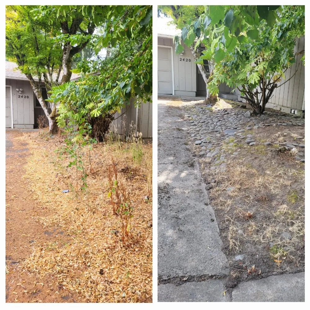 Reliable residential landscaping with custom design in Springfield, OR by Greco's Outdoor Maintenance