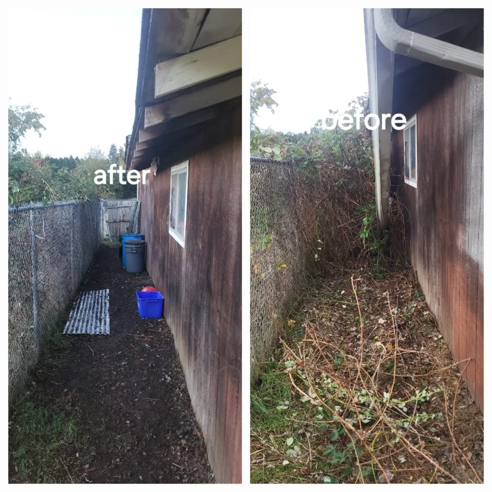 Trusted yard cleanup service in Springfield, OR by Greco's Outdoor Maintenance