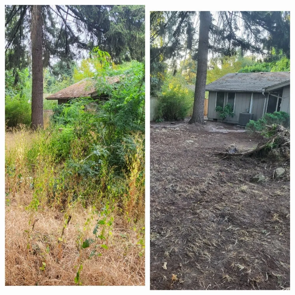 Affordable residential landscaping experts serving Springfield, OR - Greco's Outdoor Maintenance