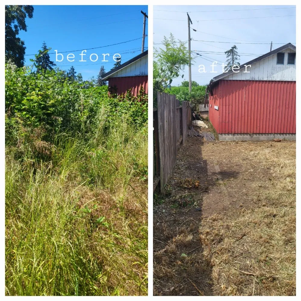 Professional landscape design near you across Springfield, OR - Greco's Outdoor Maintenance