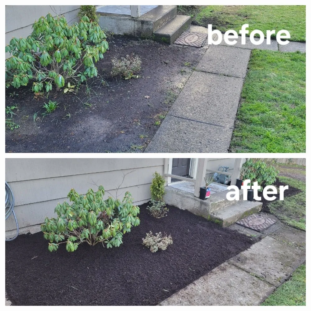 Expert yard cleanup service in Springfield, OR by Greco's Outdoor Maintenance