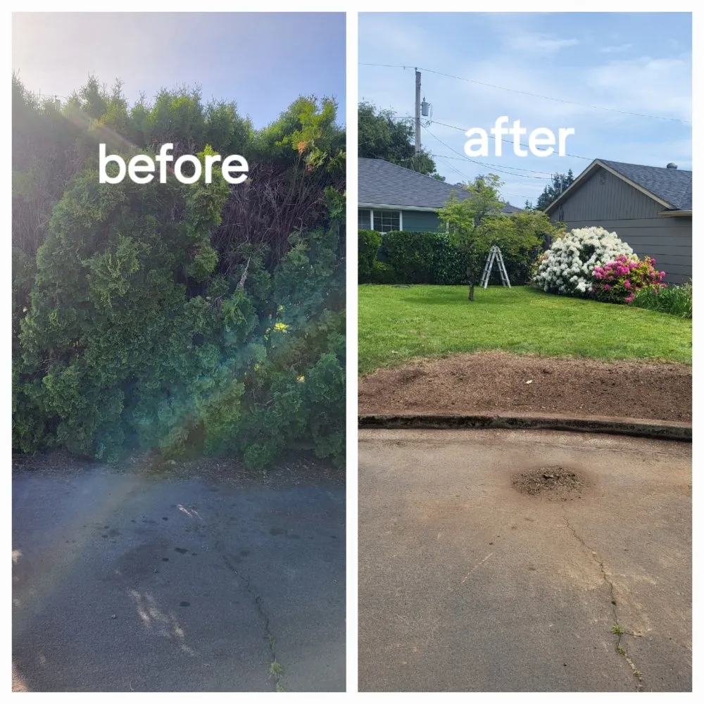 Local residential landscaping for outdoor upgrades across Springfield, OR - Greco's Outdoor Maintenance