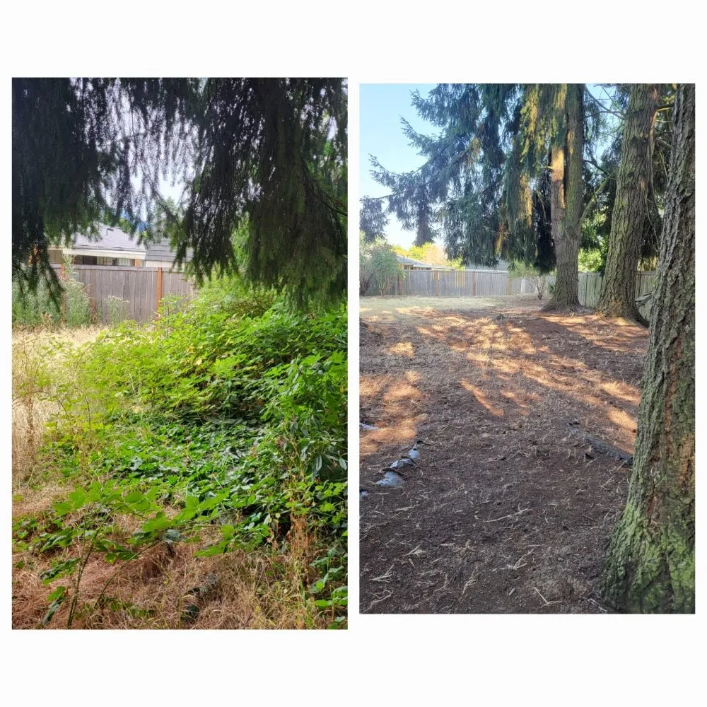 Local landscaping services in Springfield, OR - Greco's Outdoor Maintenance