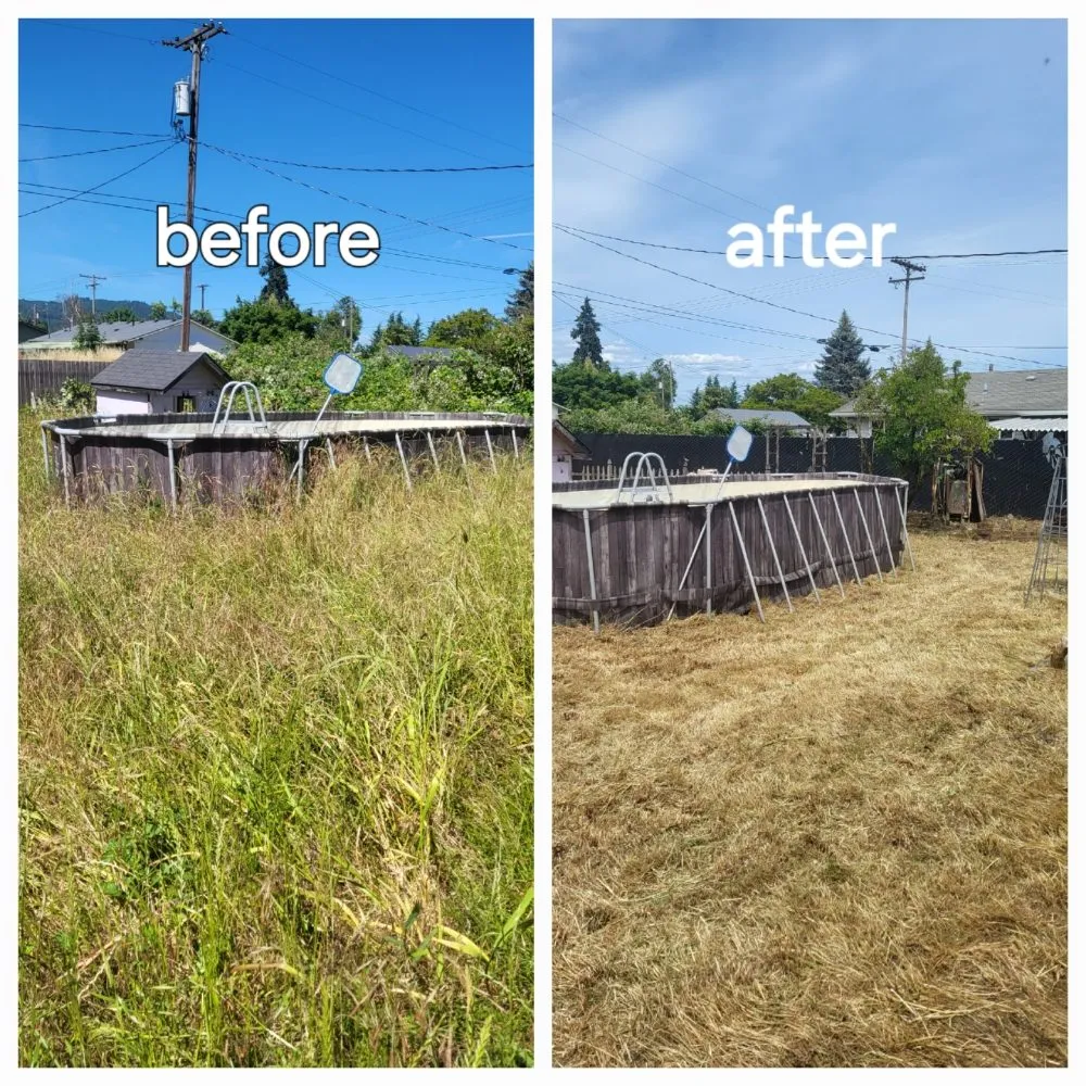 Reliable landscape design in Springfield, OR by Greco's Outdoor Maintenance