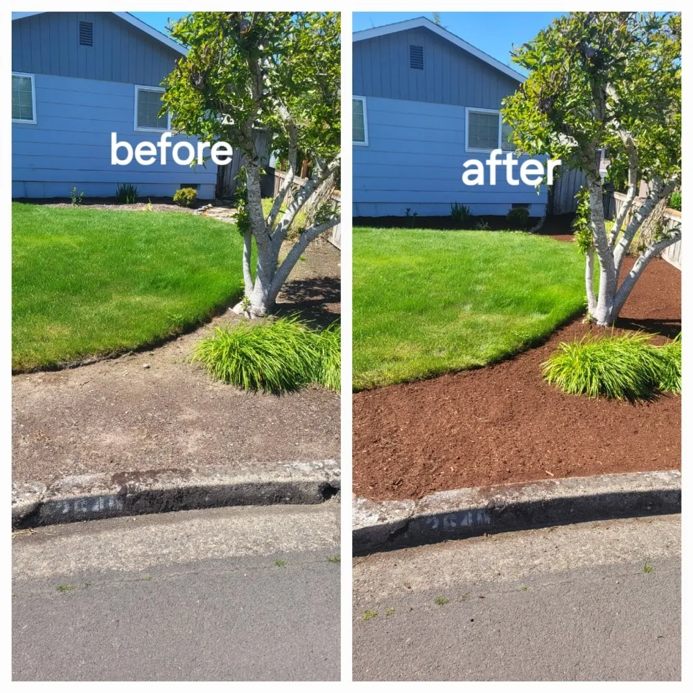 Top-rated landscaping services for outdoor upgrades across Springfield, OR - Greco's Outdoor Maintenance