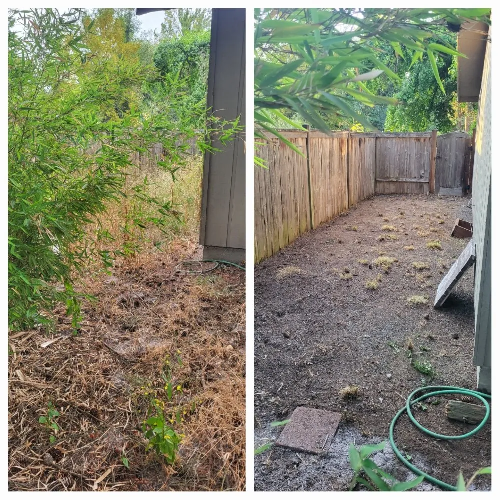 Top-rated landscape installation experts serving Springfield, OR - Greco's Outdoor Maintenance