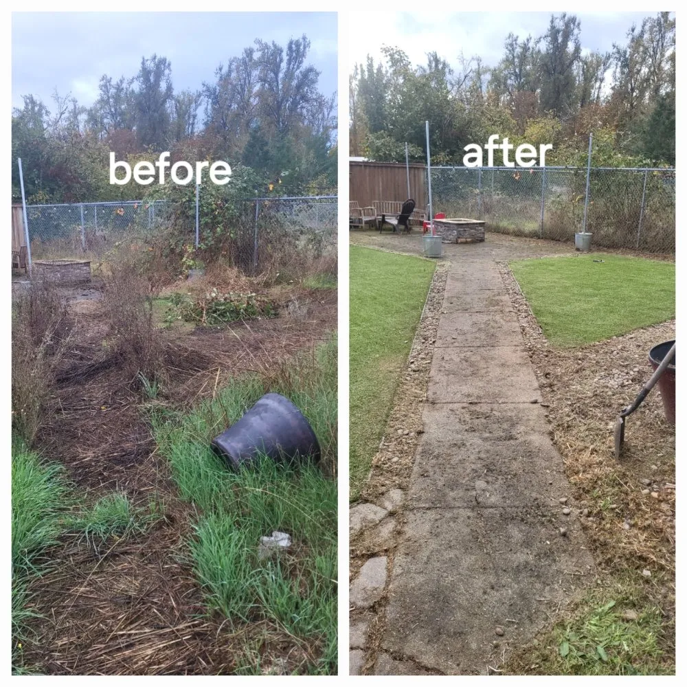 Expert lawn care service in Springfield, OR - Greco's Outdoor Maintenance