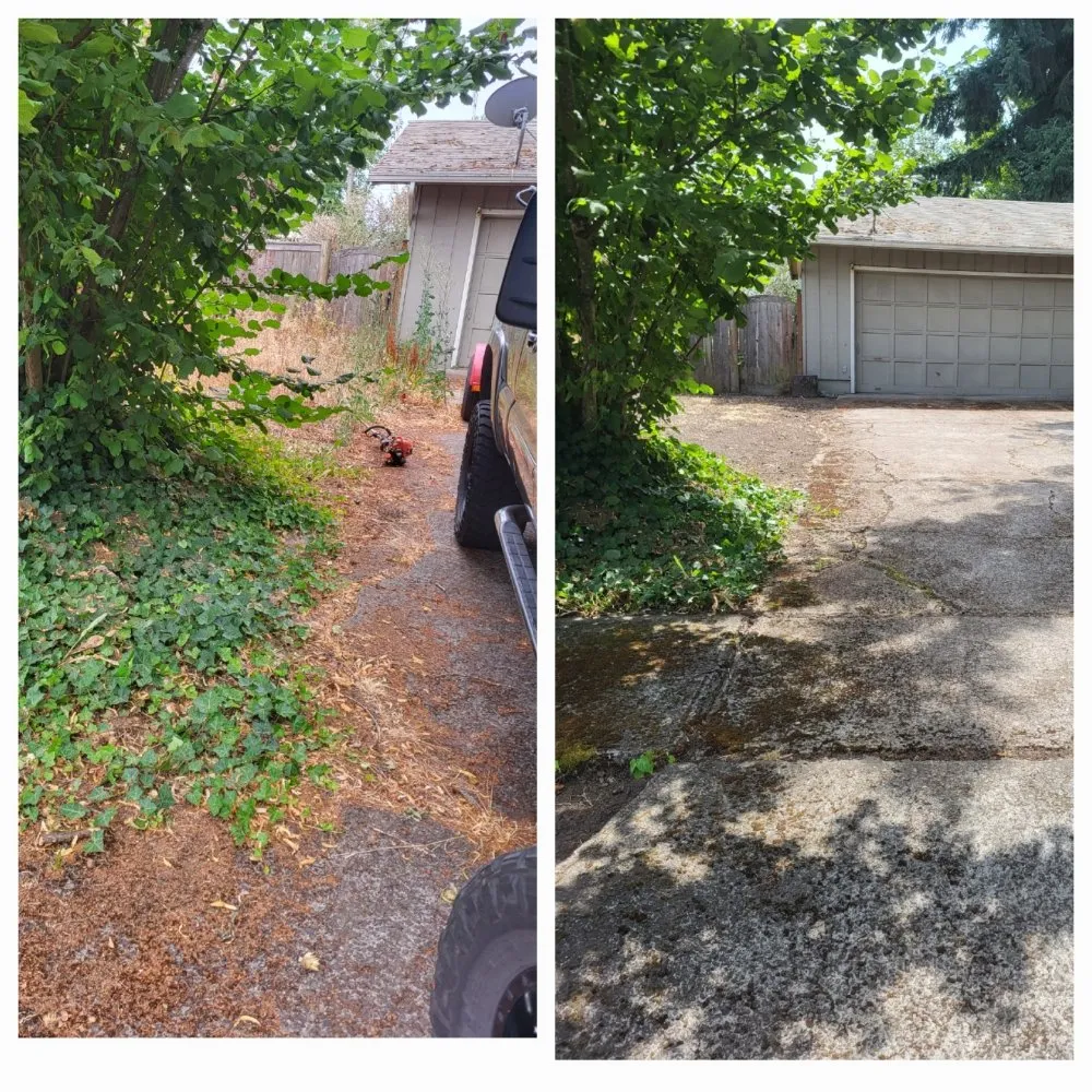 Local yard maintenance with custom design across Springfield, OR - Greco's Outdoor Maintenance