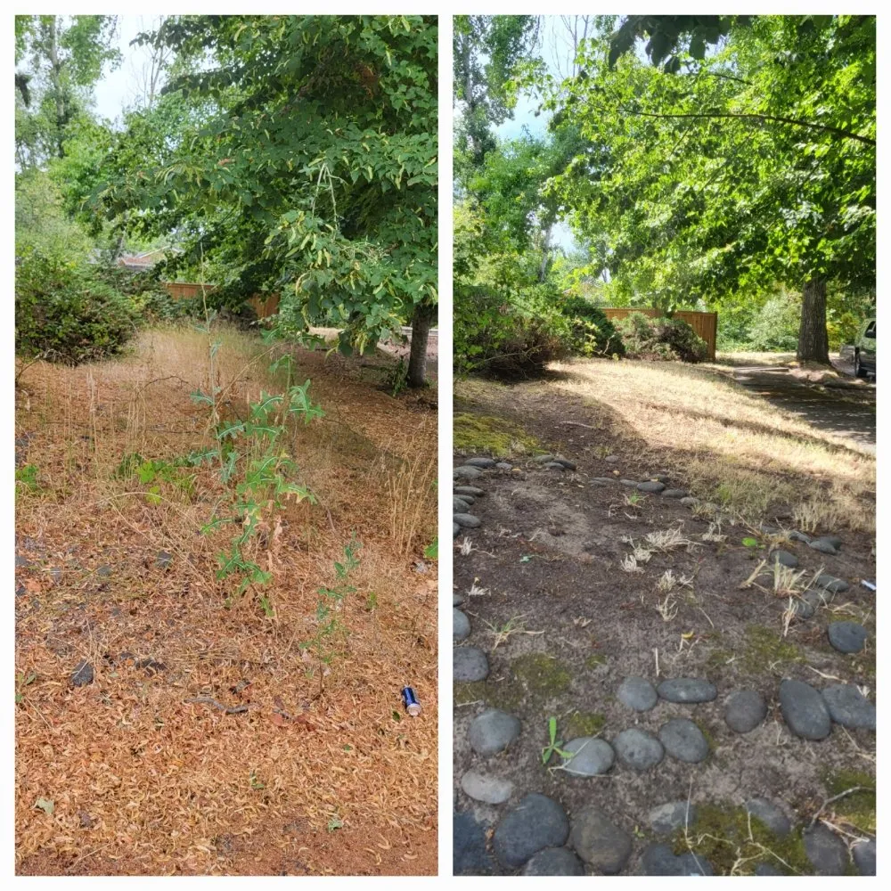 Trusted landscape design in Springfield, OR by Greco's Outdoor Maintenance