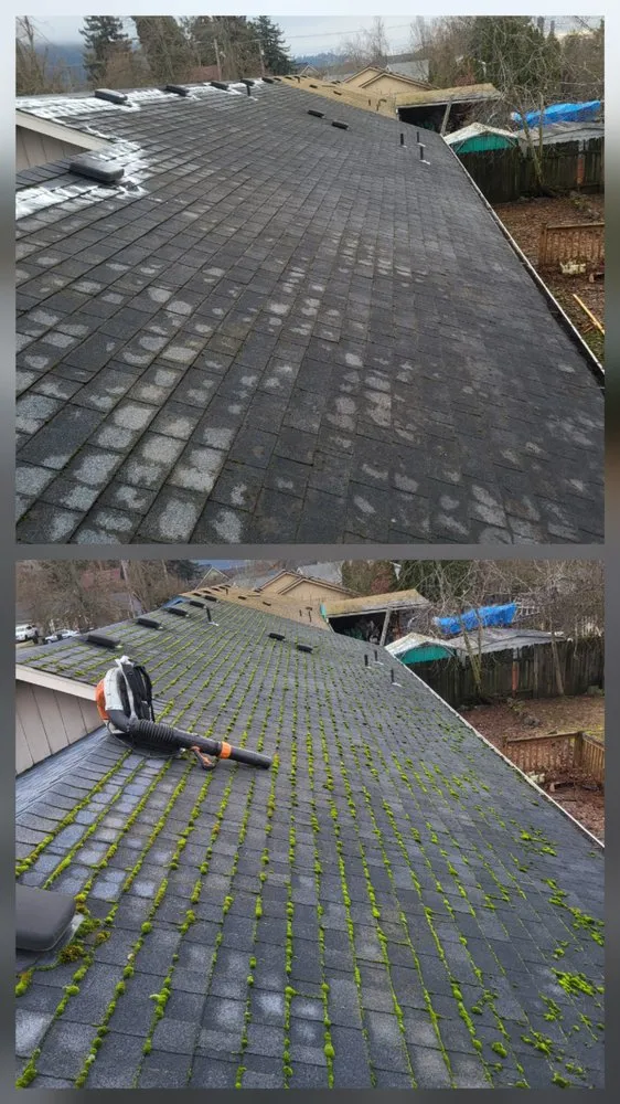 Local yard maintenance experts serving Springfield, OR - Greco's Outdoor Maintenance