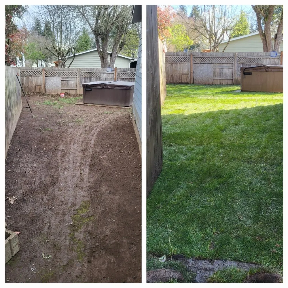 Expert yard cleanup service in Springfield, OR - Greco's Outdoor Maintenance