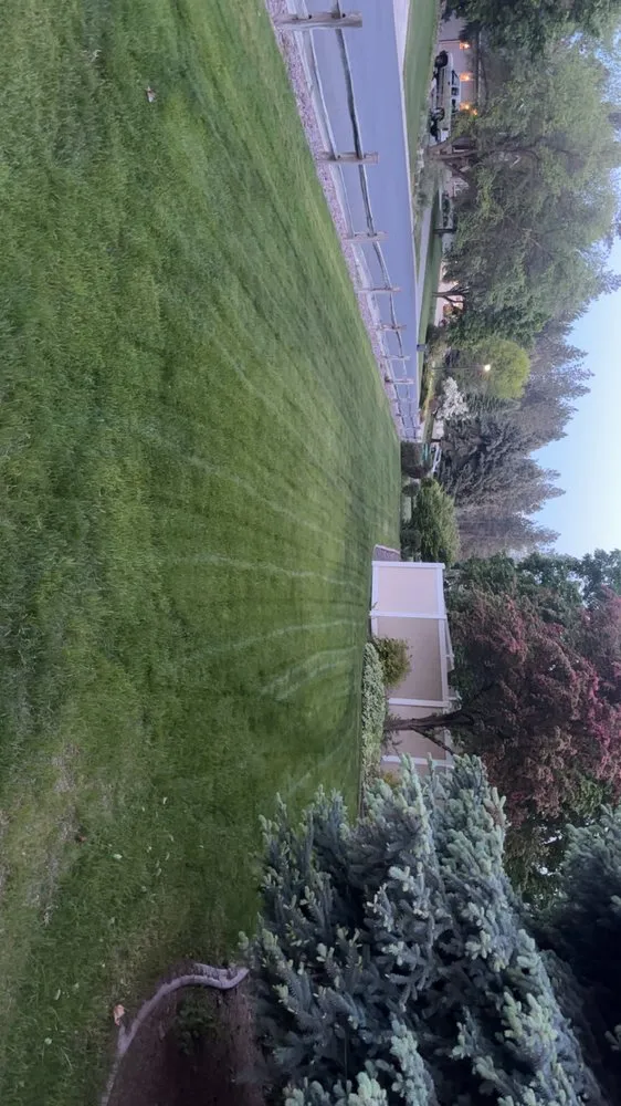 Custom yard cleanup service for beautiful yards in Spokane, WA by Greed Edge Lawn Care
