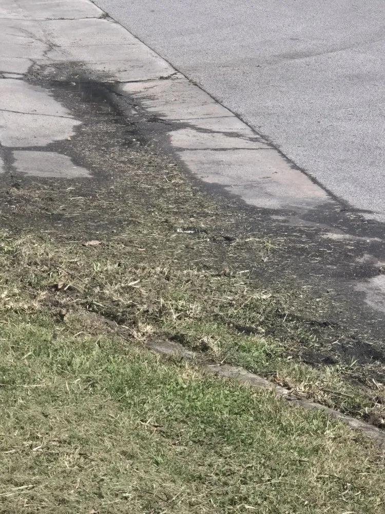 Affordable landscape design in Orlando, FL by Greedy's Landscaping