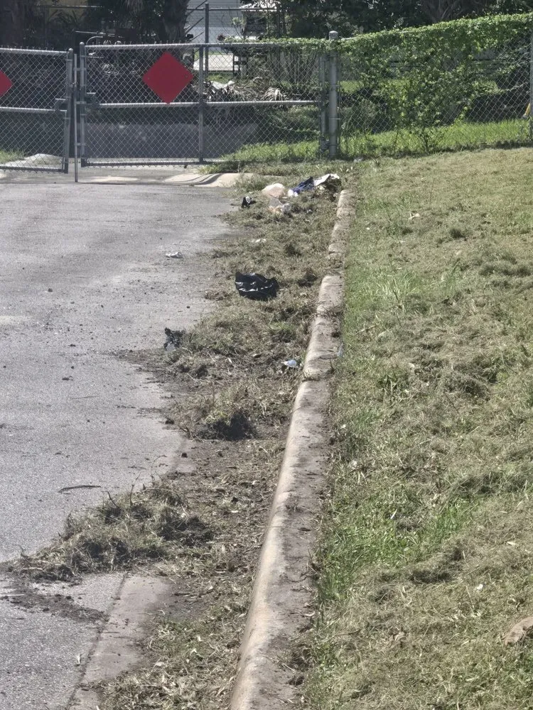 Professional outdoor landscaping in Orlando, FL by Greedy's Landscaping