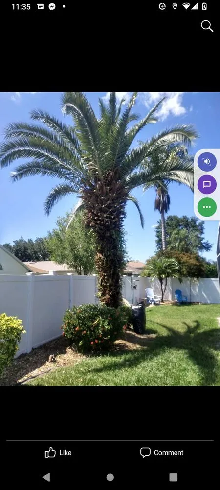 Custom lawn care service for beautiful yards across Orlando, FL - Greedy's Landscaping