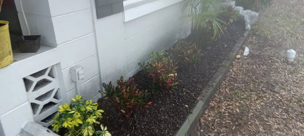 Expert yard maintenance in Orlando, FL - Greedy's Landscaping
