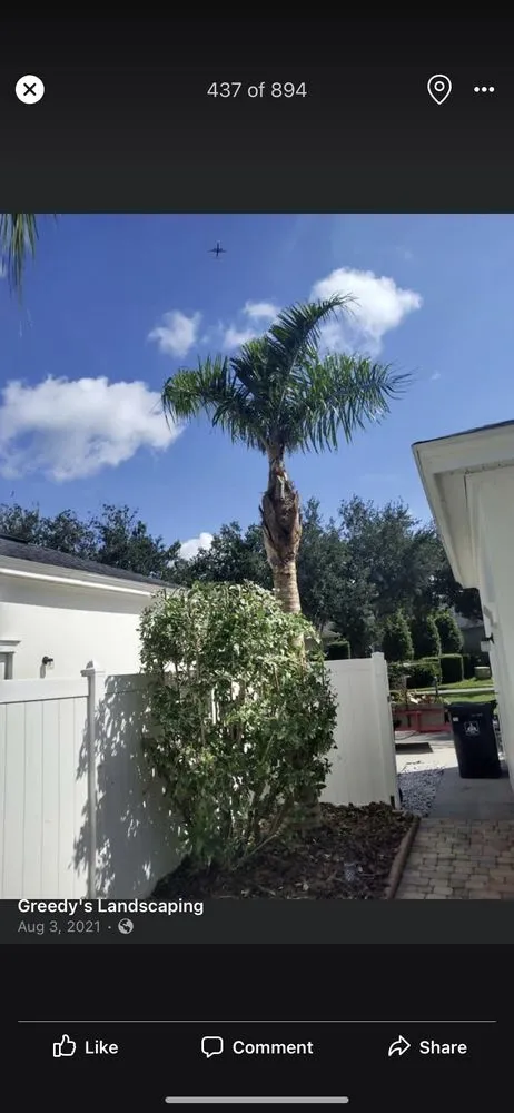 Top-rated landscape design for beautiful yards across Orlando, FL - Greedy's Landscaping