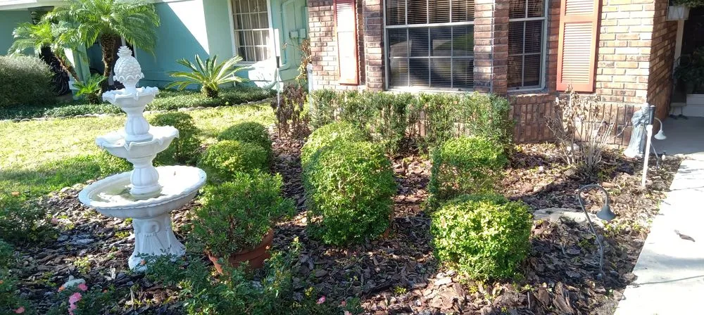 Custom landscape installation in Orlando, FL by Greedy's Landscaping