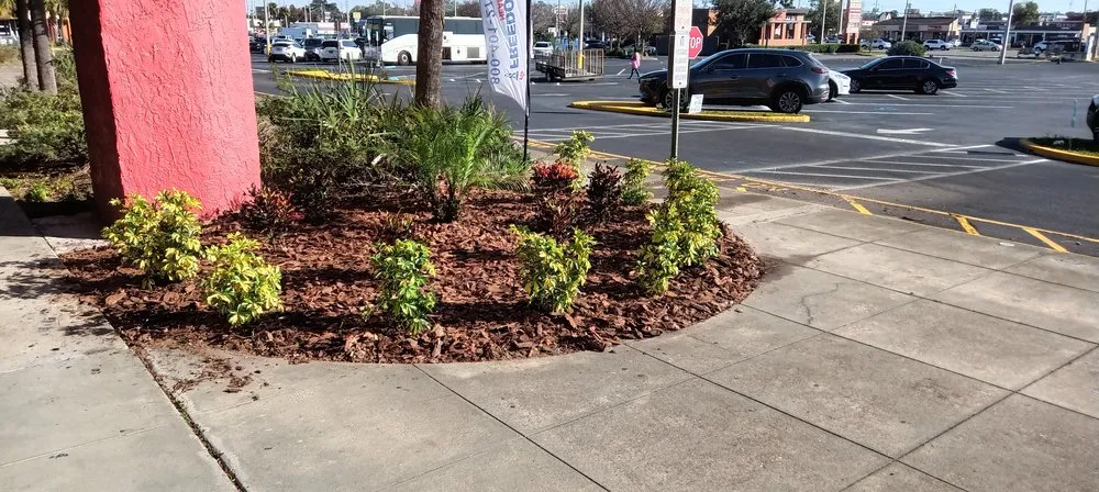 Top-rated yard cleanup service experts serving Orlando, FL - Greedy's Landscaping