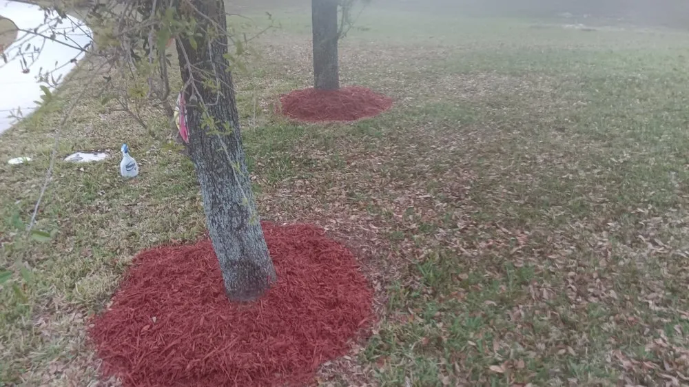 Affordable yard cleanup service experts serving Orlando, FL - Greedy's Landscaping