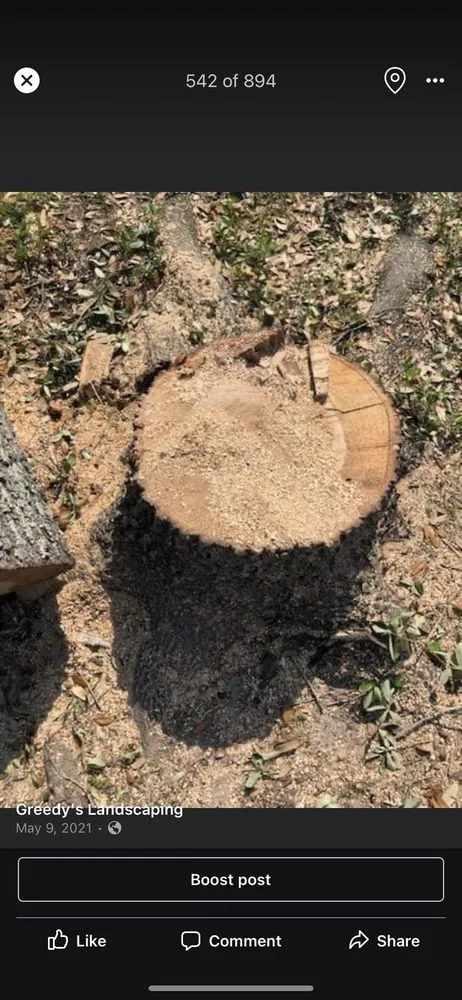 Reliable residential landscaping in Orlando, FL - Greedy's Landscaping