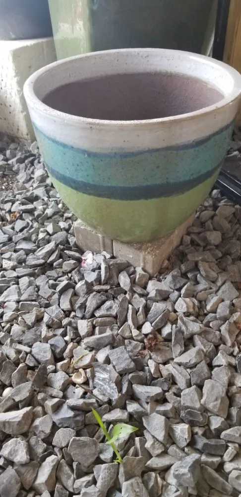 Local outdoor landscaping with custom design in Houma, LA by Greeks Outdoor and Landscaping