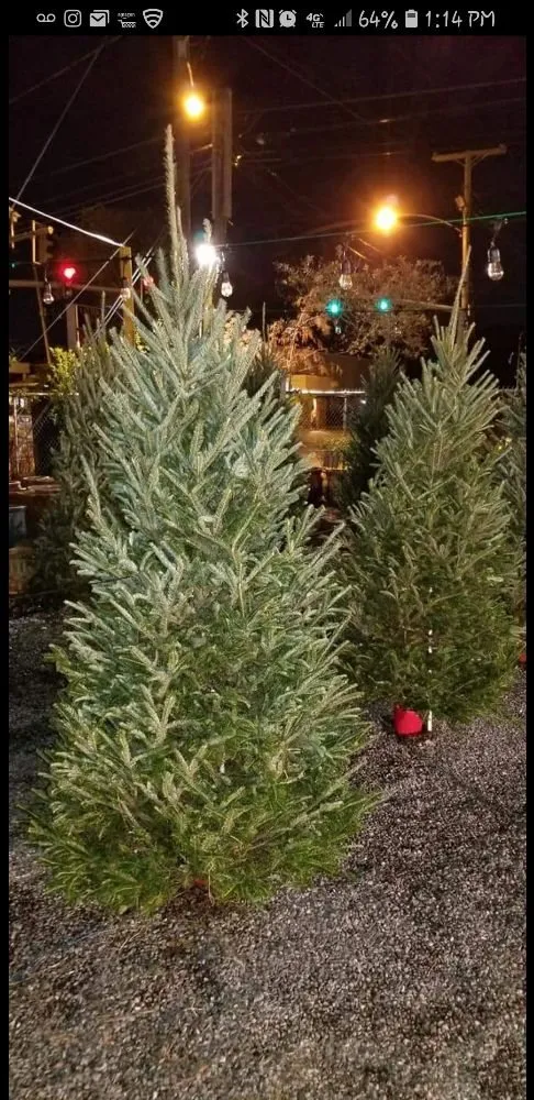 Professional outdoor landscaping for homes across Houma, LA - Greeks Outdoor and Landscaping