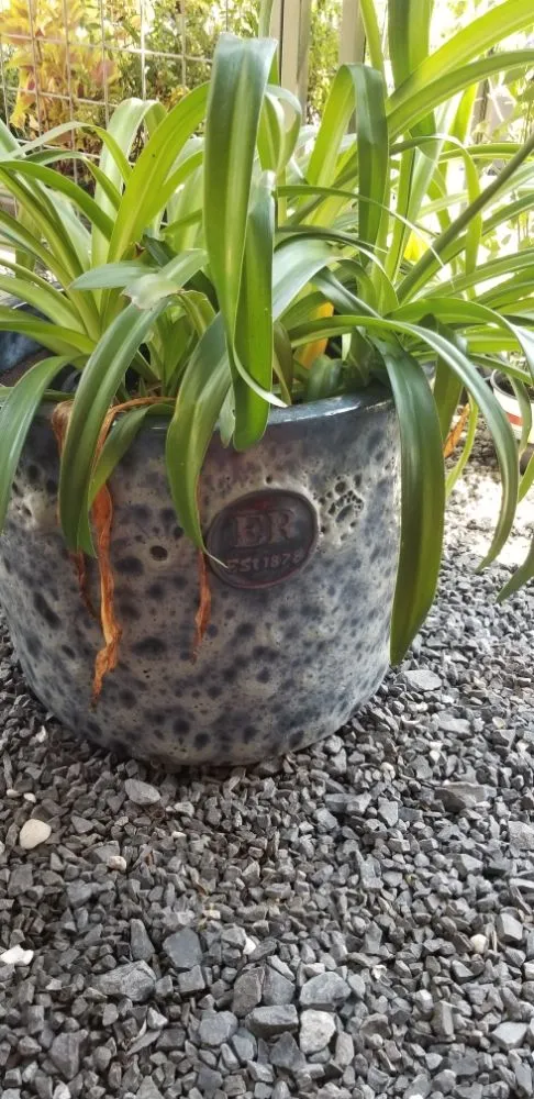 Top-rated outdoor landscaping in Houma, LA - Greeks Outdoor and Landscaping