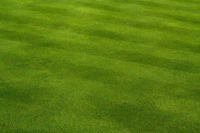 Reliable outdoor landscaping in Joliet, IL by Green - Chicago