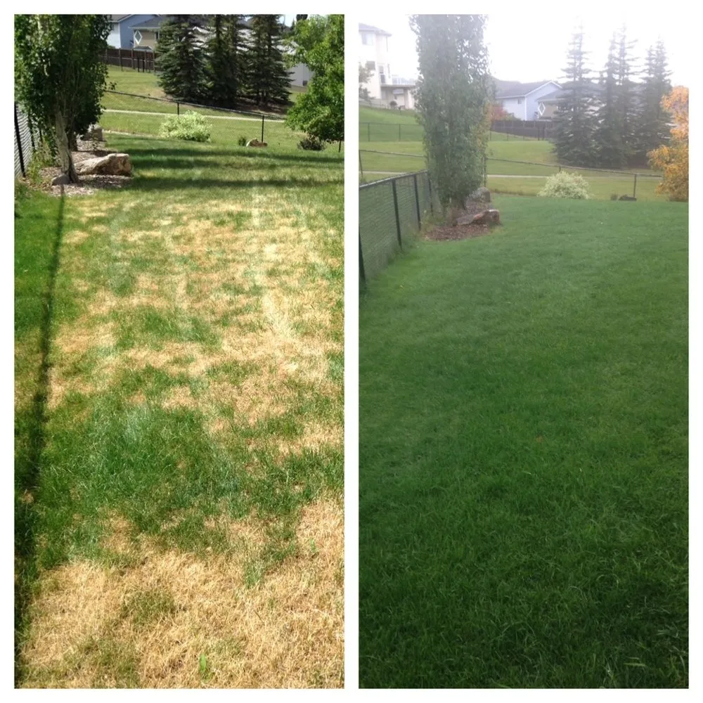 Top-rated landscaping services with custom design across Joliet, IL - Green - Chicago