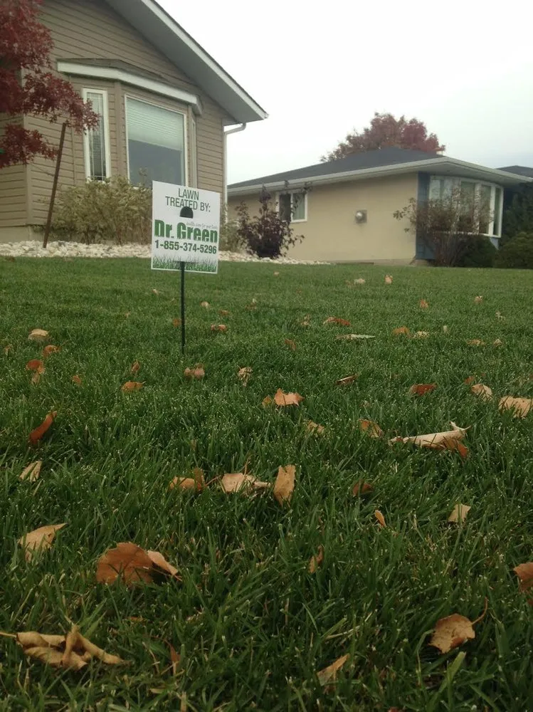 Trusted landscape design in Joliet, IL - Green - Chicago