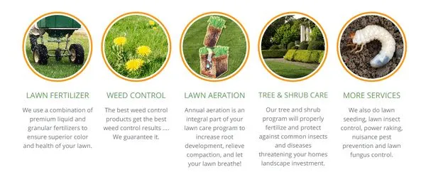 Green - Chicago Logo