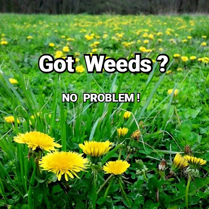 Trusted landscape installation experts serving Park City, IL - Green & Beautiful