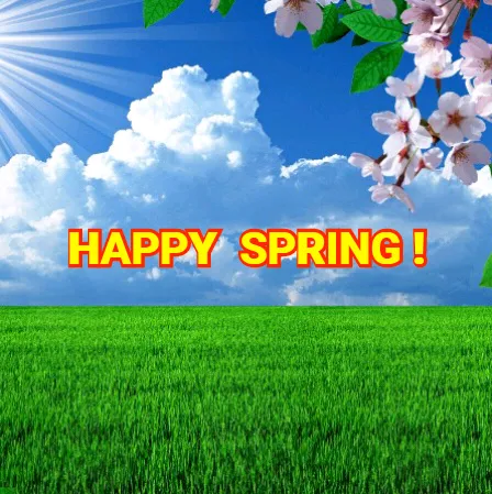 Affordable lawn mowing service in Park City, IL by Green & Beautiful