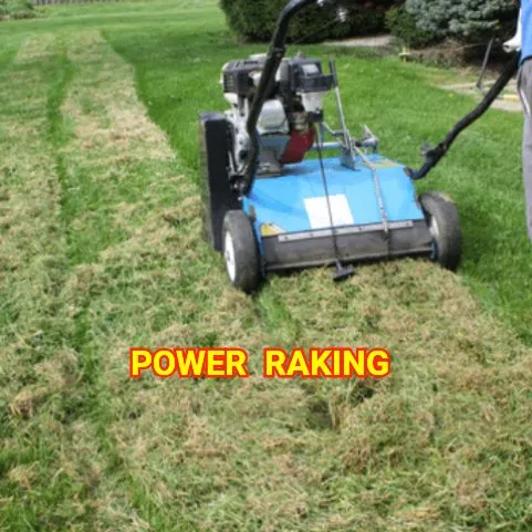 Reliable landscape design experts serving Park City, IL - Green & Beautiful