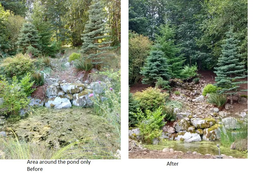 Trusted landscape design in Federal Way, WA by Green & Bright Landscaping