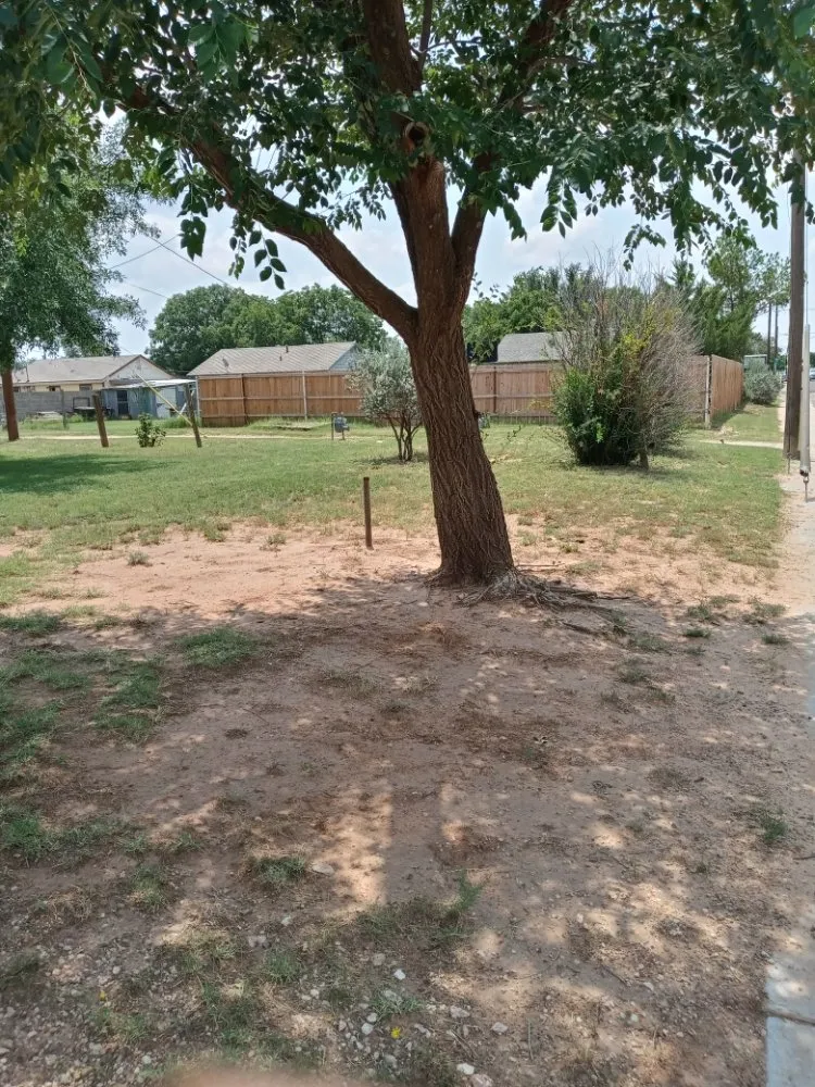 Expert lawn care service for year-round maintenance across Midland, TX - Green & Clean Landscaping