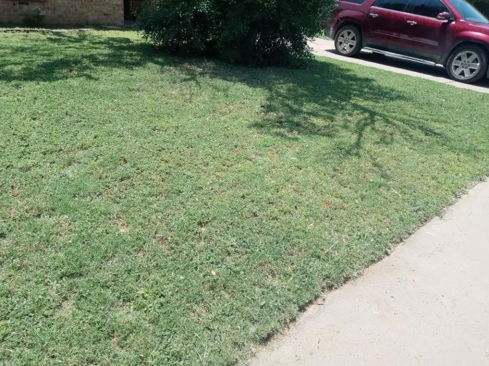 Affordable lawn mowing service in Midland, TX - Green & Clean Landscaping