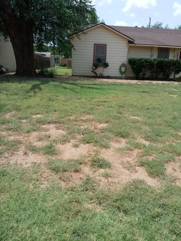 Trusted landscaping services for outdoor upgrades in Midland, TX by Green & Clean Landscaping