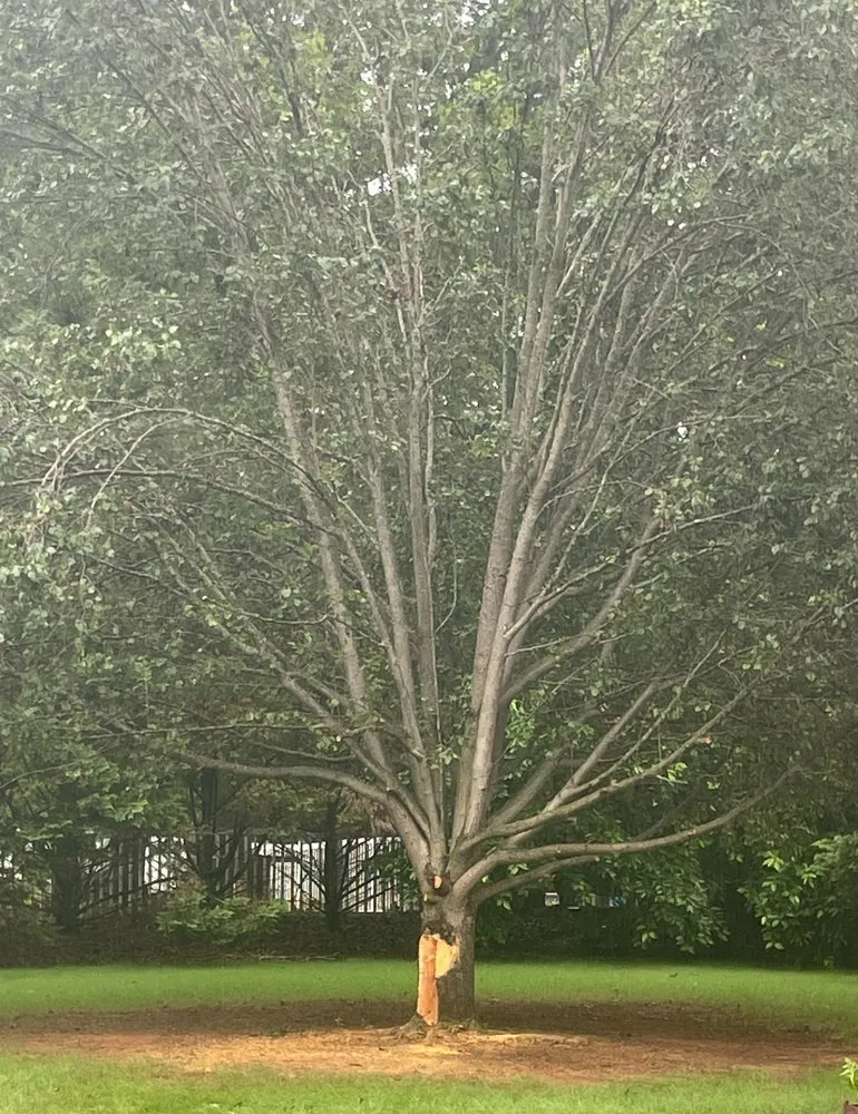 Professional outdoor landscaping in Sheffield, AL - Green & Clean Lawncare